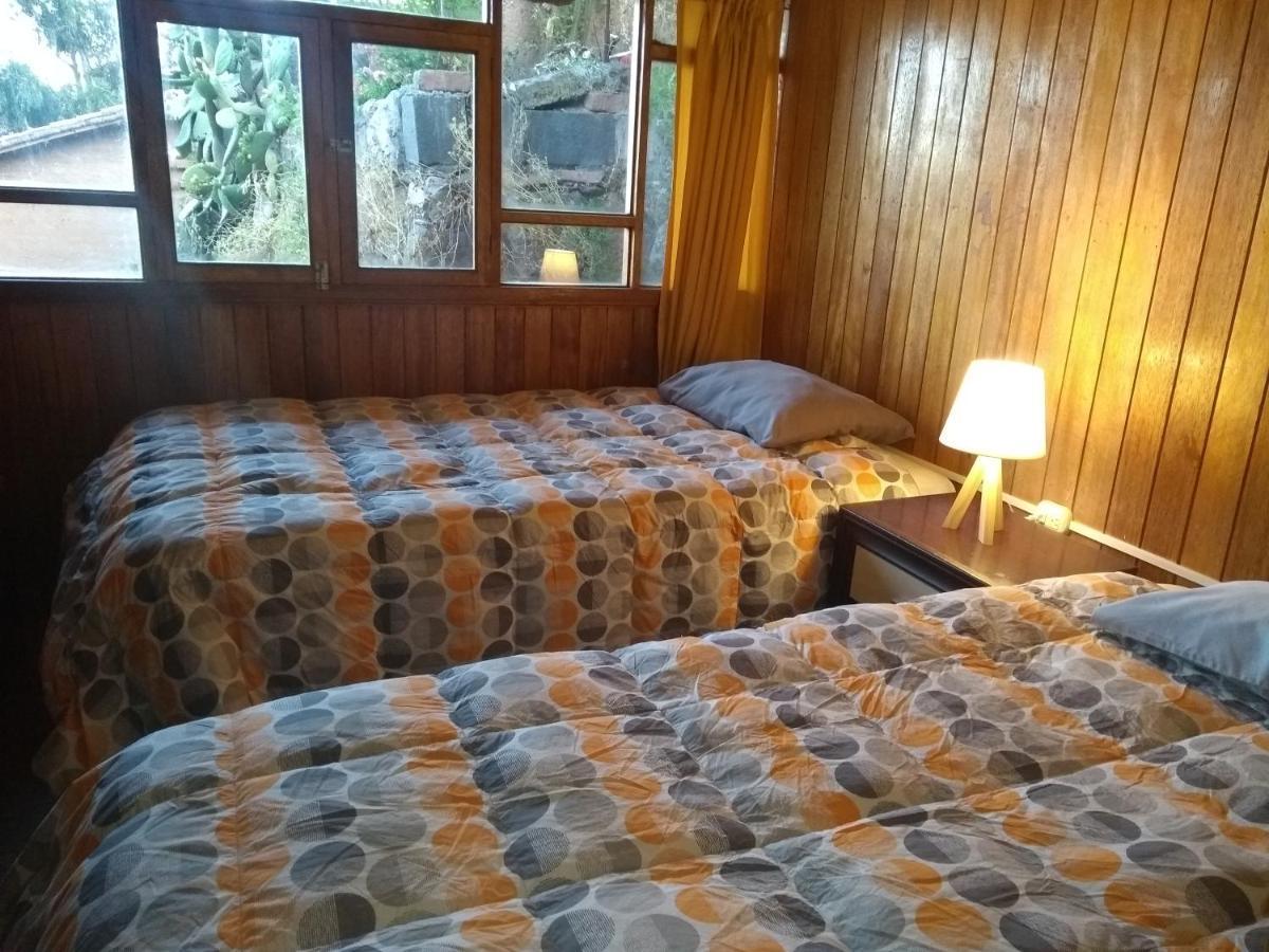 Viru & Experience Bed and breakfast 2*
